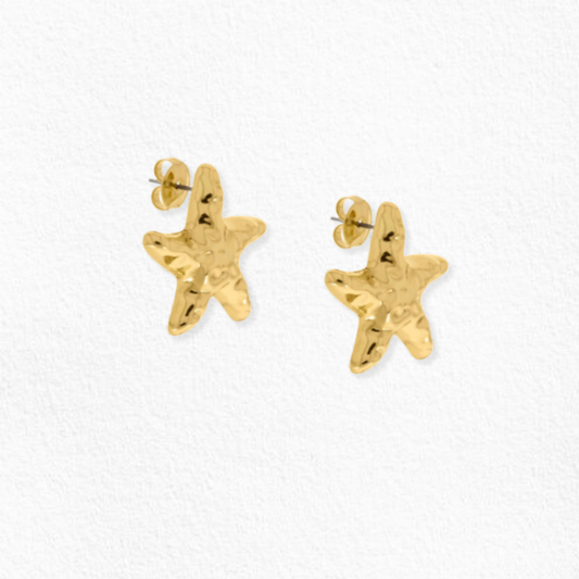 Brinco Estrela do mar