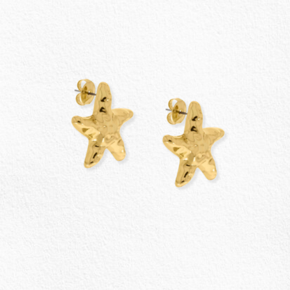 Brinco Estrela do mar