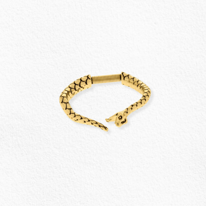 Pulseira Serpente
